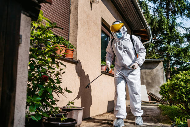 Best Bed Bug Extermination  in Ivanhoe, TX