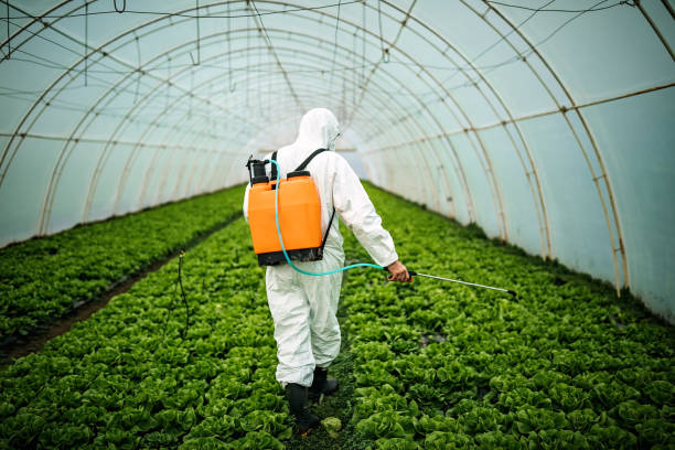 Best Pest Inspection Near Me  in Ivanhoe, TX