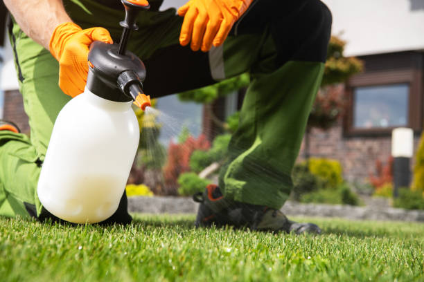 Trusted Ivanhoe, TX Pest Control Experts