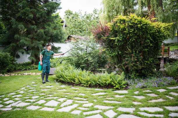 Best Best Pest Control Companies  in Ivanhoe, TX