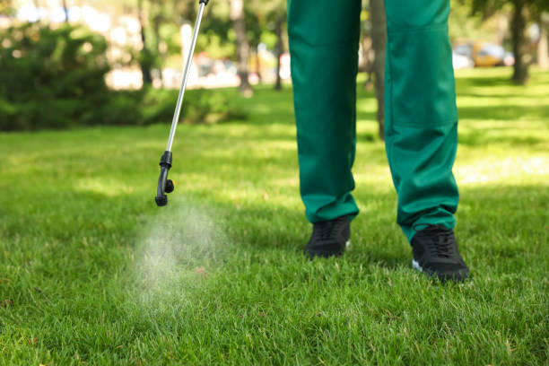 Best Affordable Pest Control Services  in Ivanhoe, TX