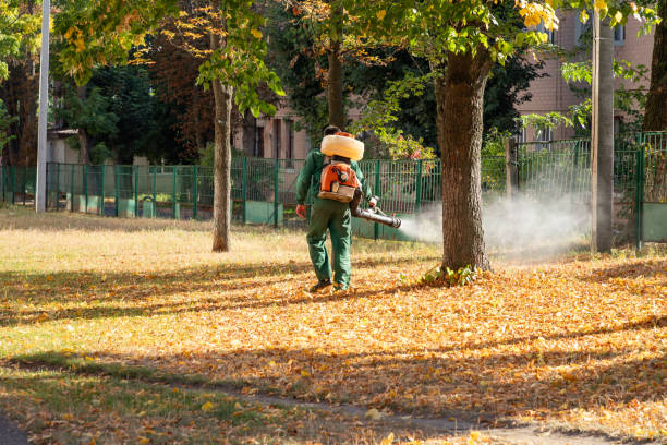Best Rat Extermination Near Me  in Ivanhoe, TX