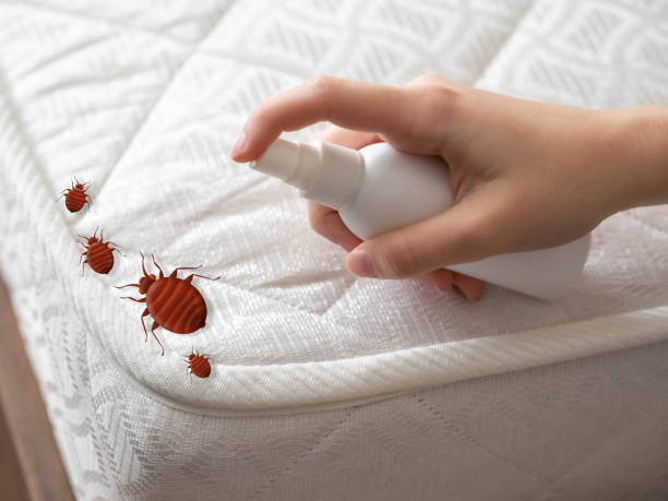 Pest Control for Restaurants in Ivanhoe, TX
