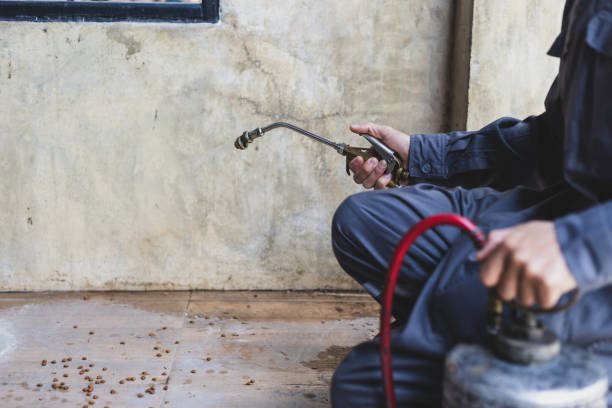 Best Cockroach Control Services  in Ivanhoe, TX